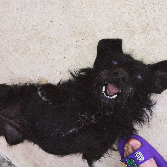 Meet your Posher, Meg💚 - Picture 6 of 11